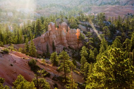 Beau paysage dans le Canyon de Bryce avec des formations de pierre 