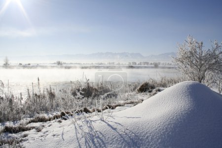 Paysage hivernal