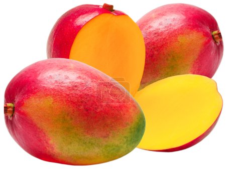 mangue