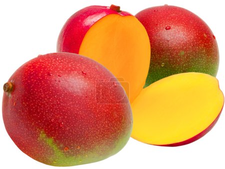 mangue