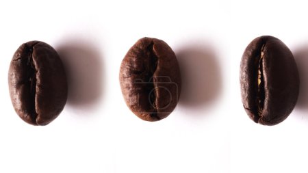Grains de café Peabody 
