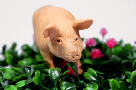 Porcs en plastique 