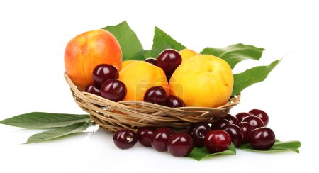 fruits