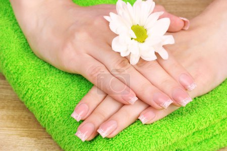 Les mains et la fleur de la belle femme 